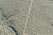PerBol2014 061  Rysunki na płaskowyżu Nazca - Wieloryb. Peru : 2014, Nazca, Peru