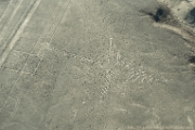PerBol2014 065  Rysunki na płaskowyżu Nazca - Koliber. Peru : 2014, Nazca, Peru