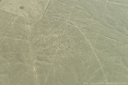 PerBol2014 067  Rysunki na płaskowyżu Nazca - Kondor. Peru : 2014, Nazca, Peru