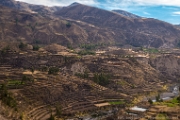 PerBol2014 103  Tarasy z uprawami ziemniaków na zboczach Doliny Colca. Peru. : 2014, Colca Canyon, Peru