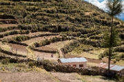 PerBol2014 125  Tarasy uprawne na Wyspie Słońca. Boliwia. : 2014, Boliwia, Isla del Sol