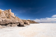PerBol2014 211  Isla Incahuasi. Salar de Uyuni. Boliwia. : 2014, Boliwia, Salar de Uyuni