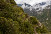PerBol2014 440  Zejście z Wayna Picchu. Peru. : 2014, Machu Picchu, Peru