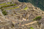 PerBol2014 455  Machu Picchu. Peru. : 2014, Machu Picchu, Peru